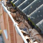 Clogged,Rain,Gutter,Pipeline,With,Fallen,Leaves.,Roof,Gutter,Cleaning