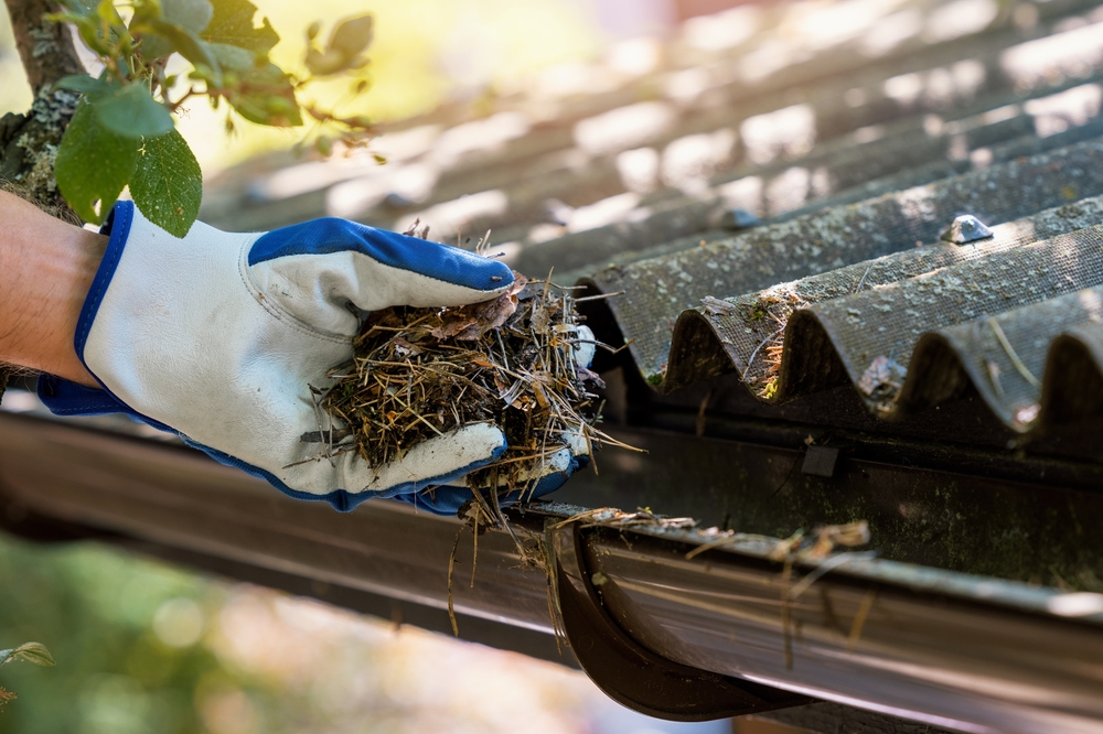 Enhancing curb appeal and property value through soffit and fascia repair Enhancing curb appeal and property value through soffit and fascia repair