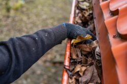 A,Man,Wearing,Gloves,Removes,Fallen,Leaves,And,Debris,From