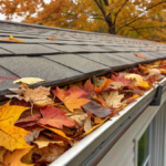 fall leaves blocked by gutter guards 2