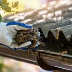 Hand,With,Glove,Cleaning,House,Gutter,From,Leaves,And,Needles