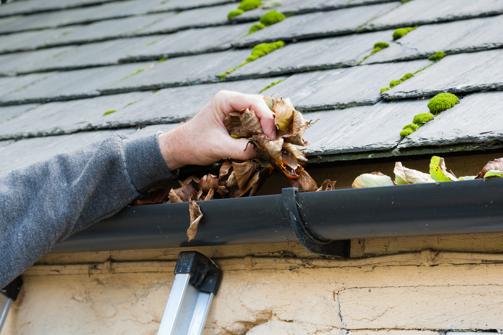 gutter services